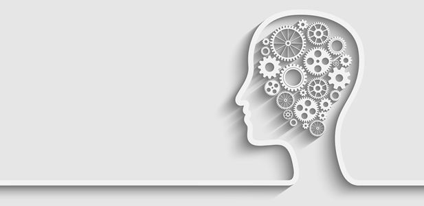 1 Cerebro